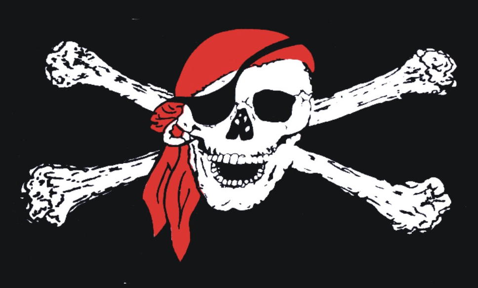 Pirate "Skull and Crossbones" Tee Shirts